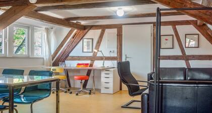 Ferienwohnung 'Alte Schmiede Ellrichshausen' mit Wi-Fi