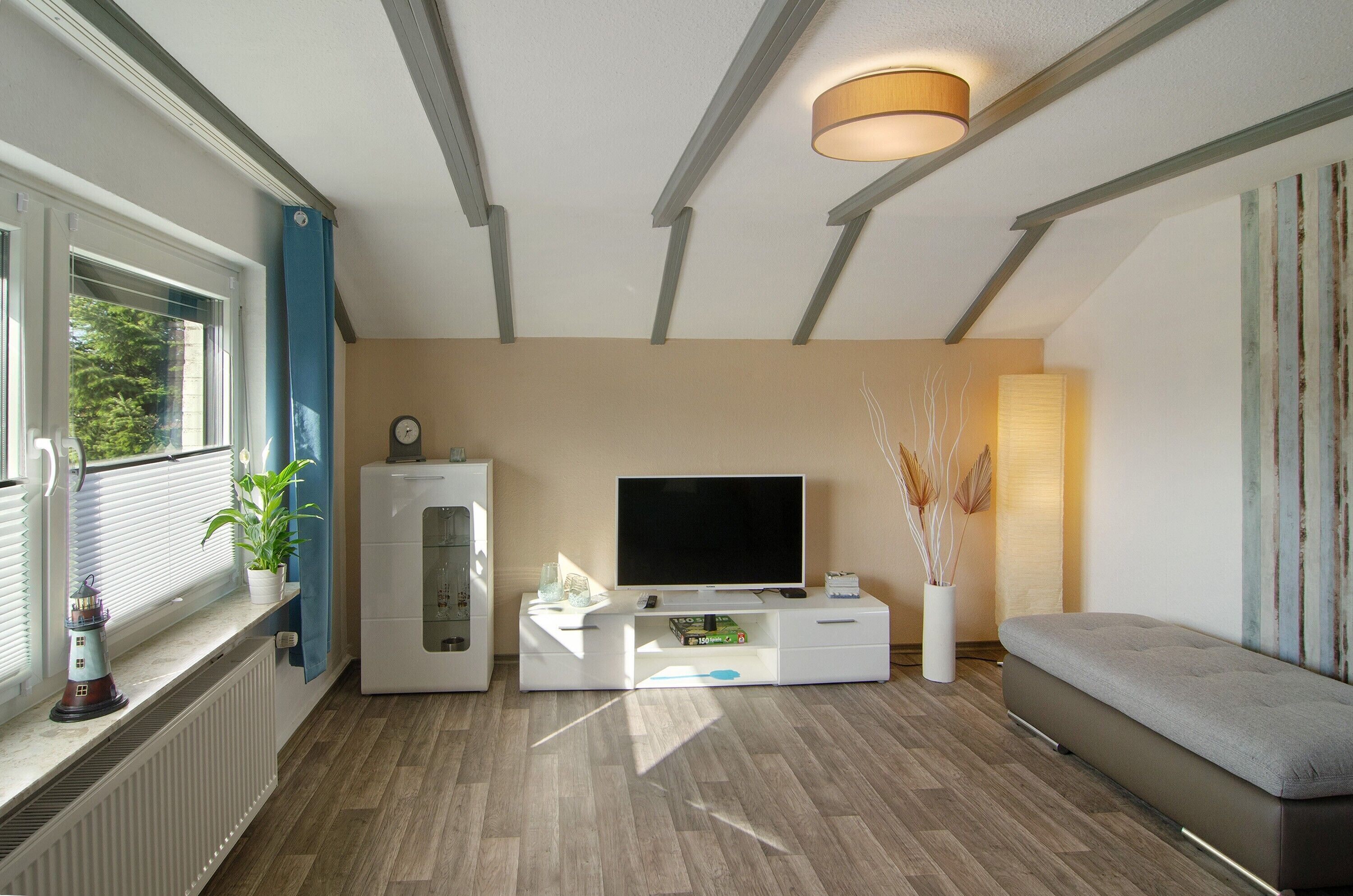 Fernseher