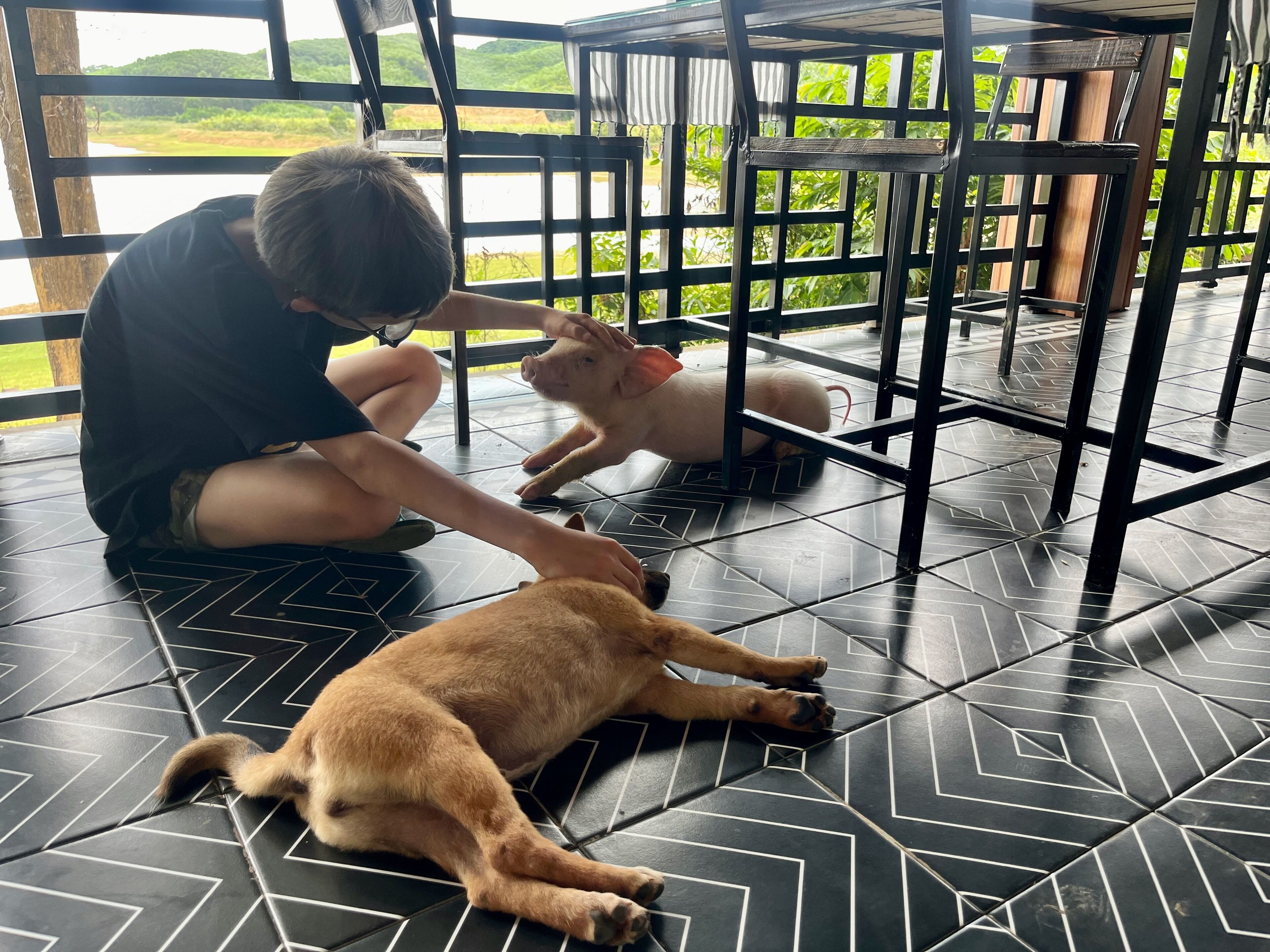 A person interacting with a pig and a dog on a tiled floor with a view of greenery through a lattice structure.