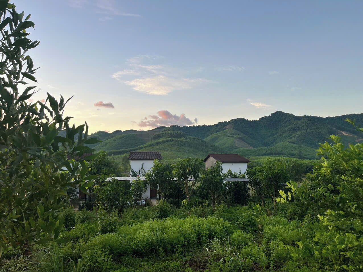 Paisaje rural con dos edificios blancos rodeados de abundante vegetación y colinas al fondo.