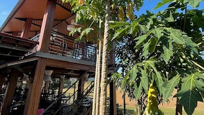 Une structure en bois avec un escalier menant à une zone abritée, entourée de grands papayers.