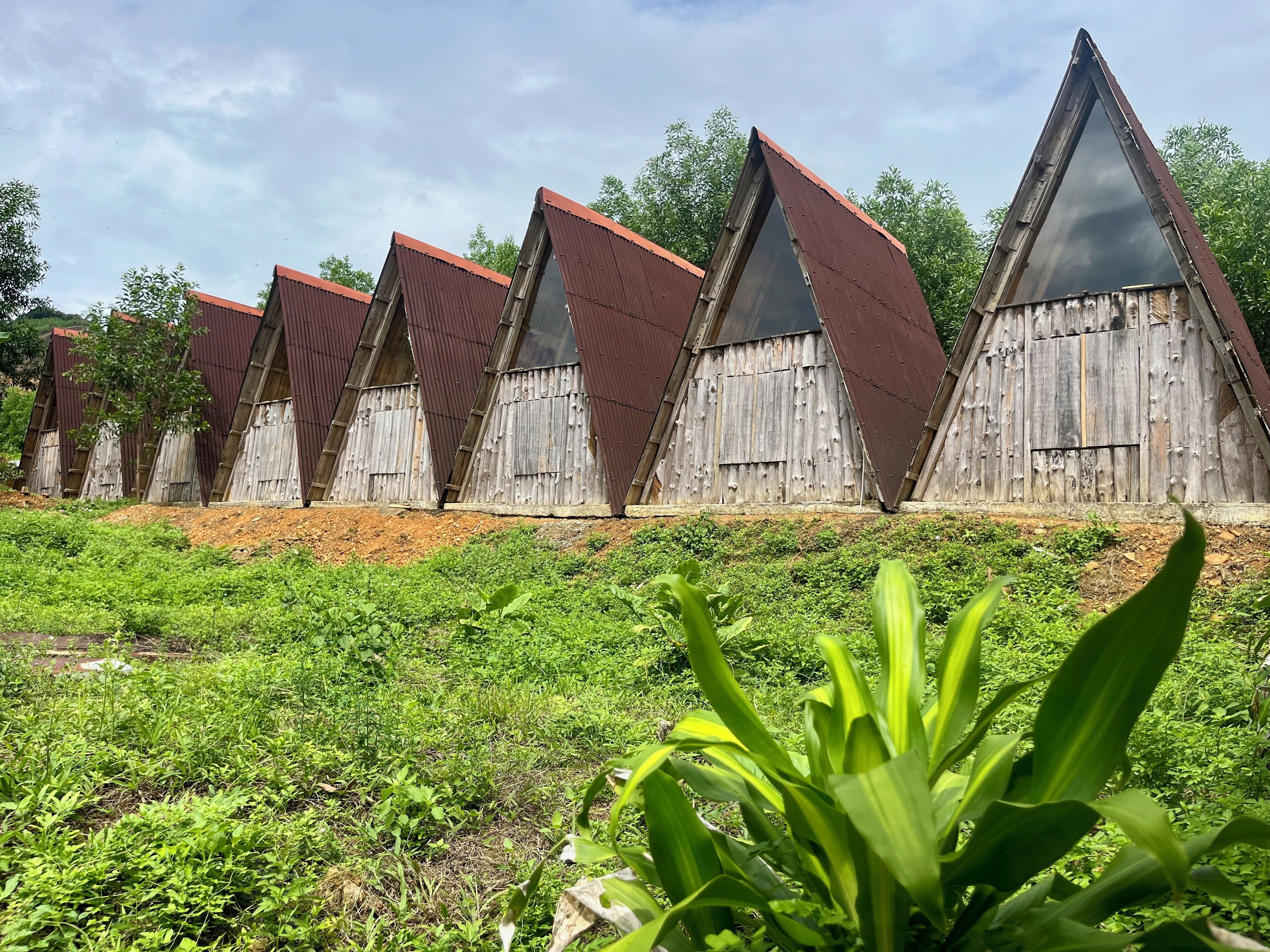 Una hilera de estructuras de techo triangular y paredes de madera, ubicadas en una zona cubierta de hierba con vegetación al frente.