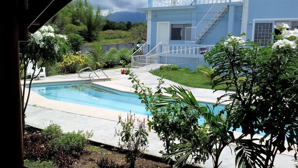 Una piscina con plataforma de hormigón, rodeada de vegetación y un edificio de fachada azul.