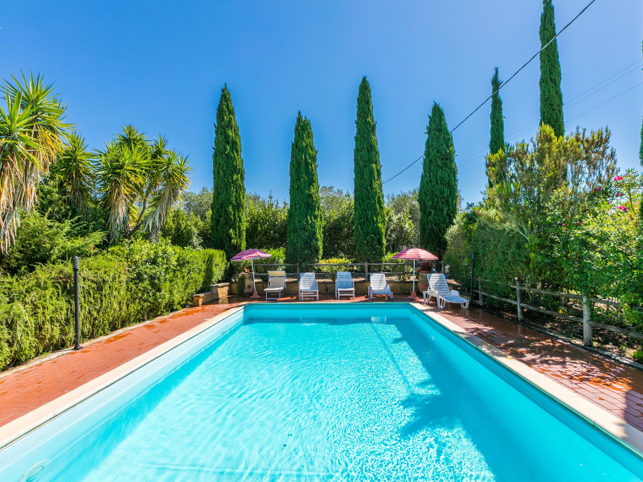A rectangular swimming pool with clear blue water, surrounded by a wooden deck and a row of white lounge chairs with red umbrellas. Tall, slender trees line the background.