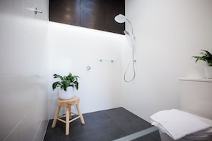 Shower, hair dryer, towels