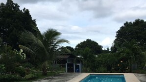 Une piscine rectangulaire à l’eau d’un bleu limpide, entourée d’une terrasse en béton. Des palmiers et d’autres plantes vertes agrémentent l’espace autour de la piscine.