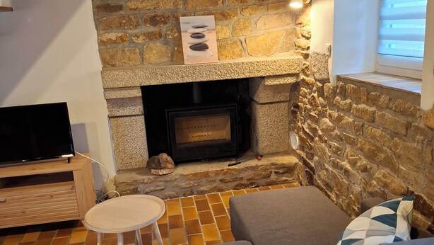 TV, fireplace, books