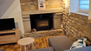 Télévision, cheminée, livres