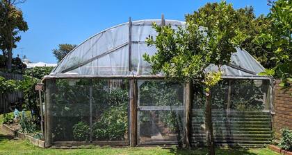 Heart of Queenscliff - charming guesthouse