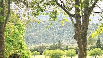 Superior huis, uitzicht op vallei | Terras