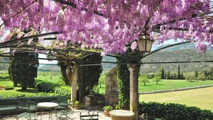 A garden with a pergola covered in purple flowers, stone pillars, and a view of a green landscape. - Fangar Agroturismo (Campanet)