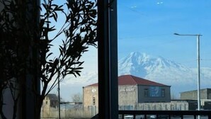 A view from a balcony with a metal railing, a potted plant, and a mountain in the background. - Aristo (Artashat)