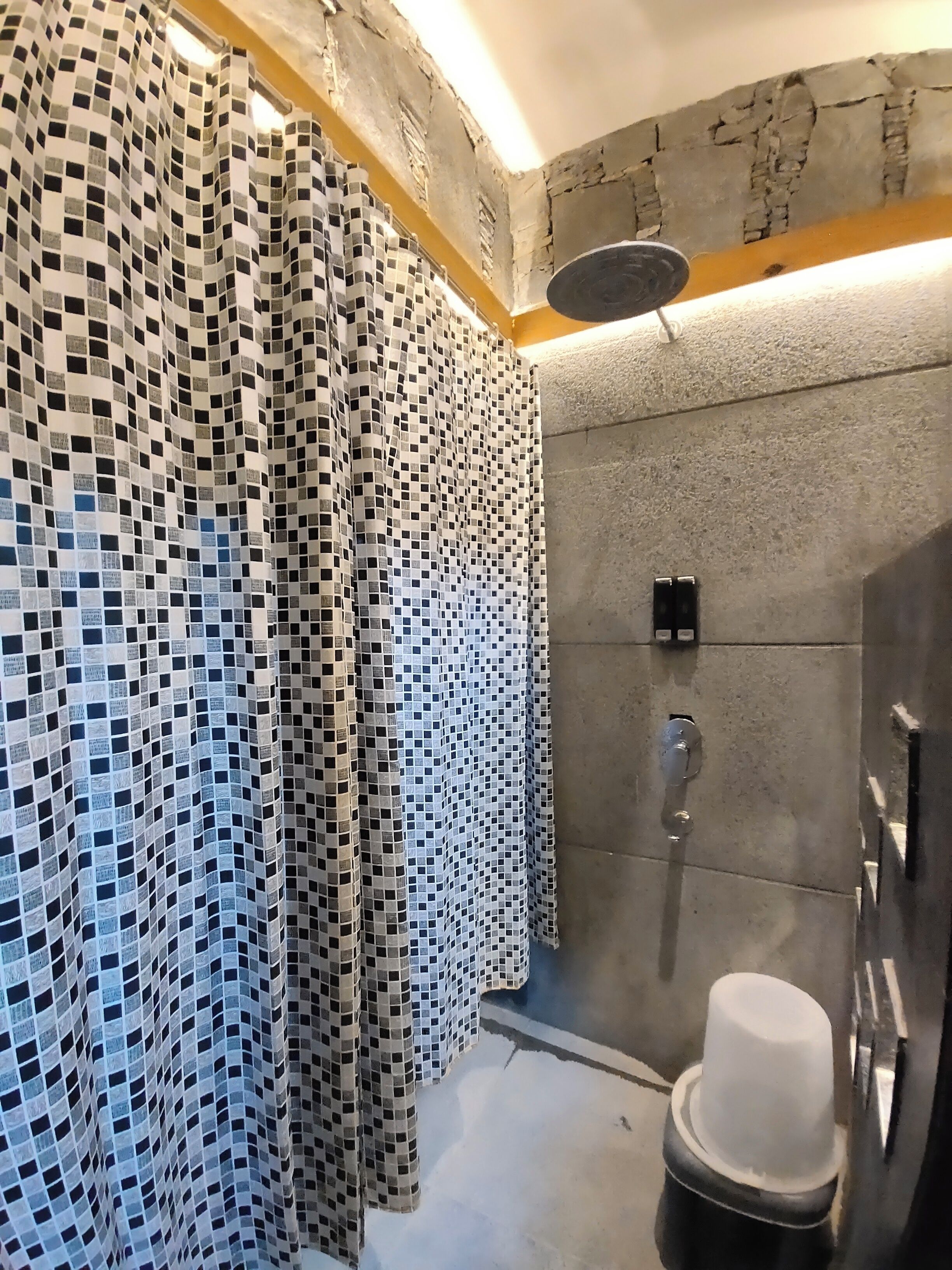 A bathroom with a checkered shower curtain, a white toilet, and a shower area with a wall-mounted faucet.