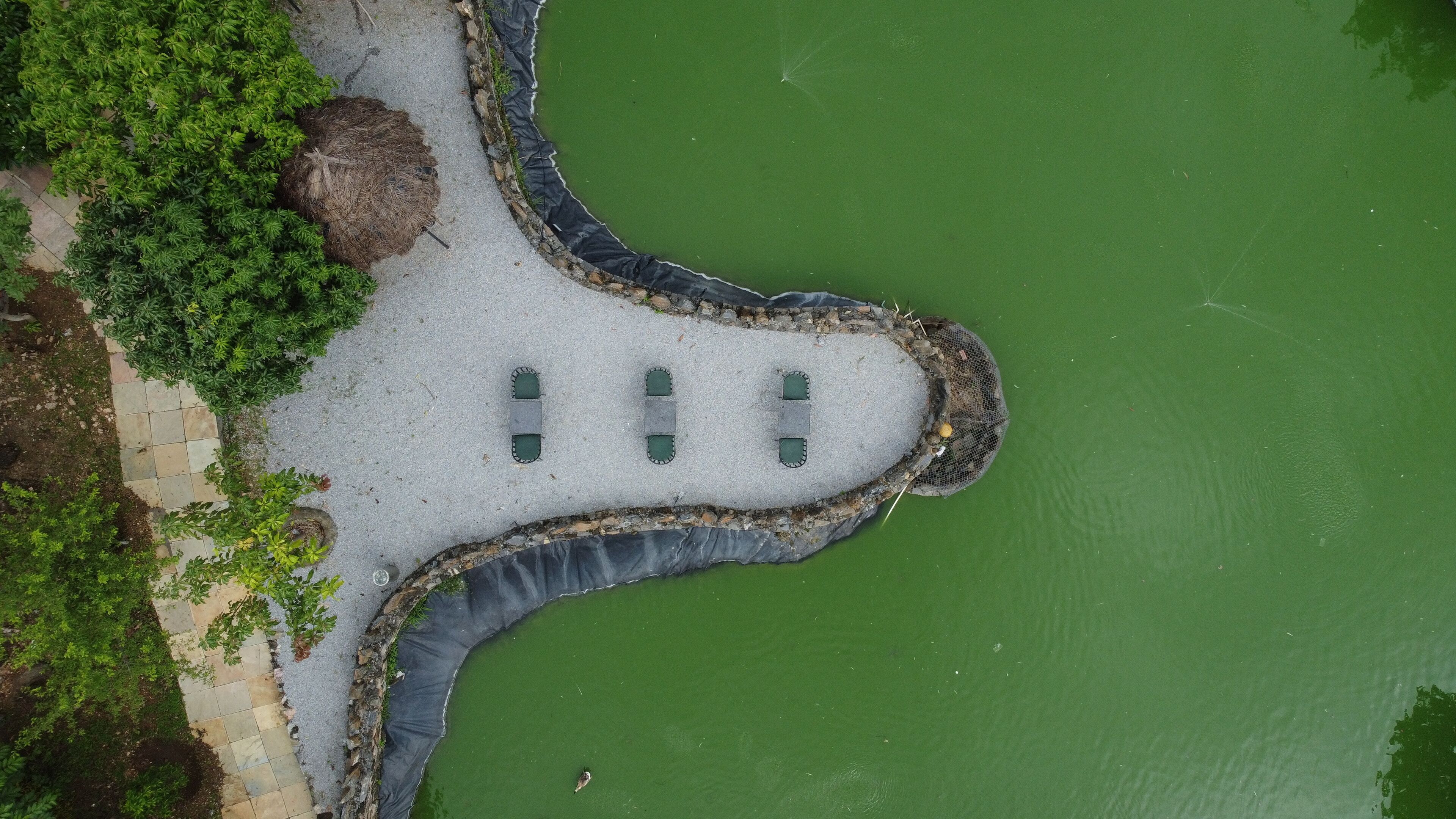 An aerial view of a landscaped area with a curved pathway, a small pond, and three green benches.
