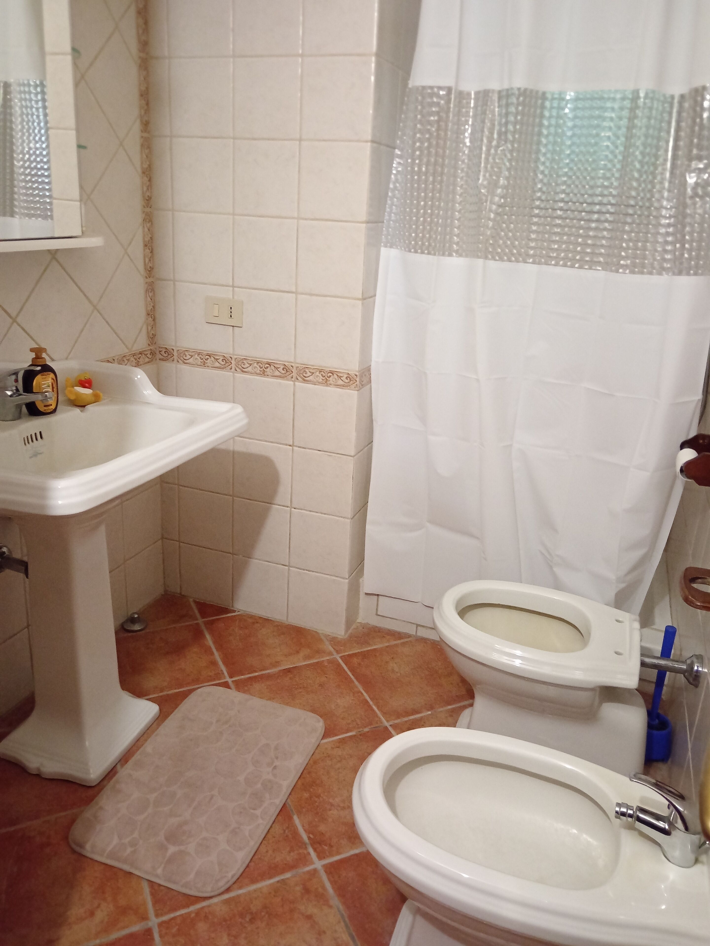 Een badkamer met een wastafel, toilet en douchegordijn.