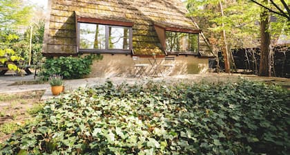 Boshuisje Olive is a cozy 3 bedroom vacation home
