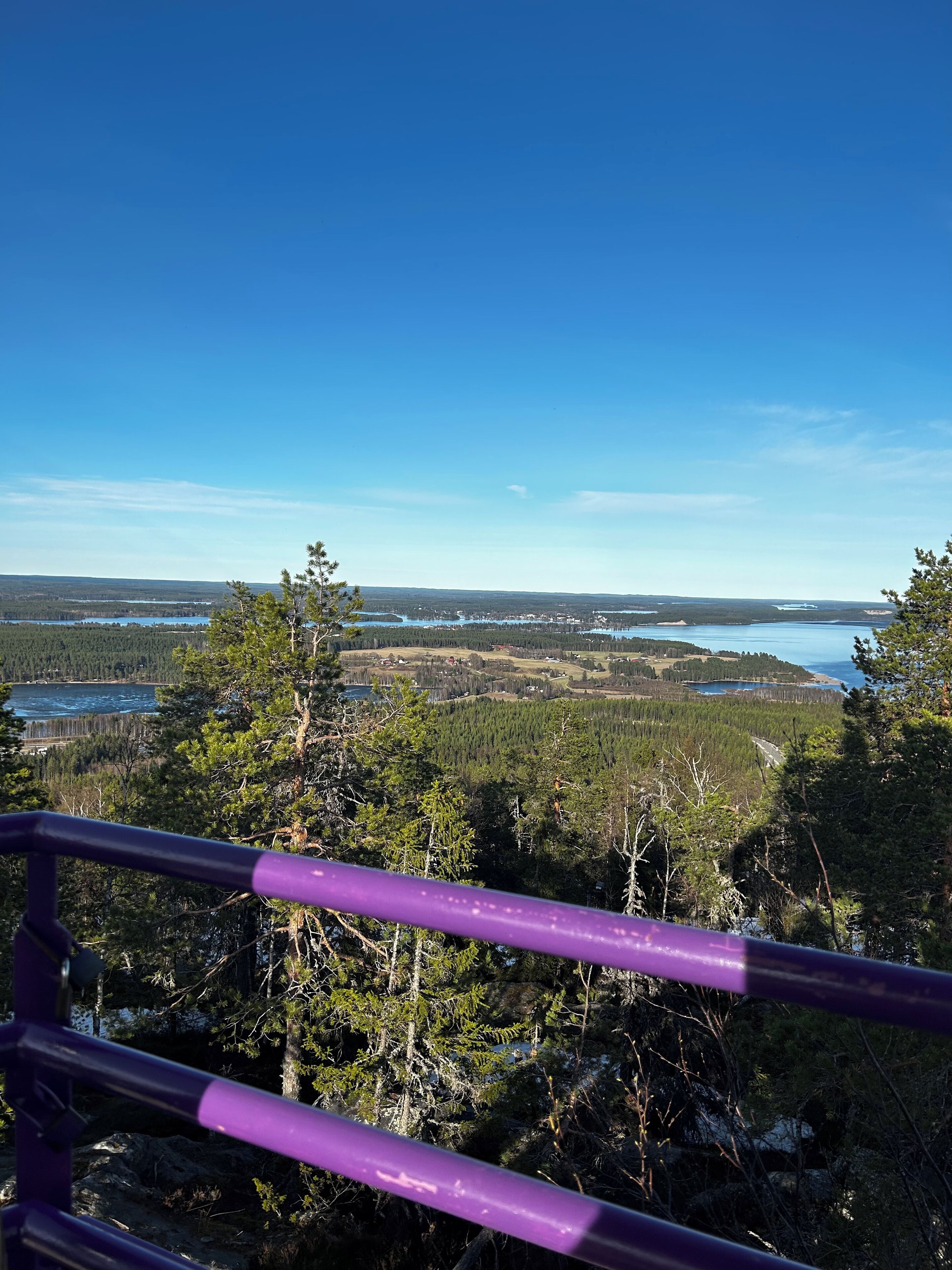 A panoramic view from a high vantage point, featuring a dense forest, a lake, and distant buildings.