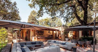 Luxury Forest Retreat with Private Padel Court
