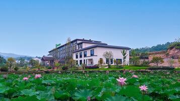 Quang cảnh nhìn từ nơi lưu trú