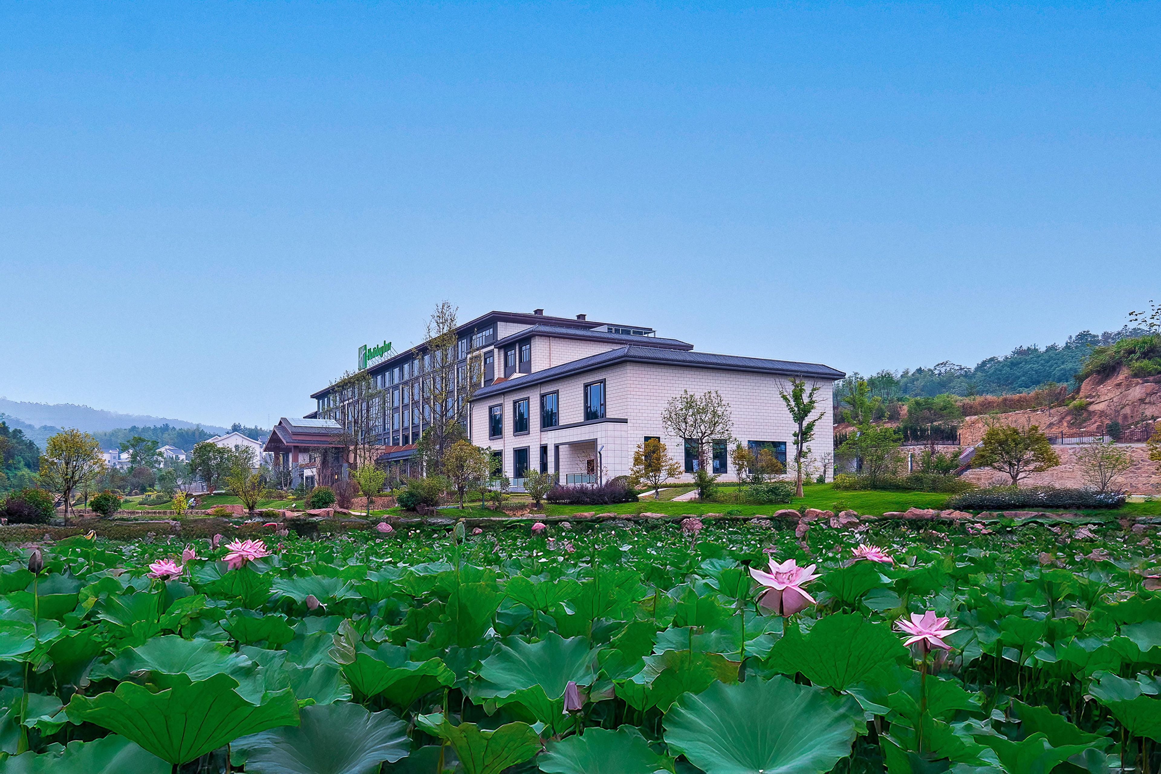 A modern two-story building with a flat roof and large windows, surrounded by a lush garden with lotus flowers.