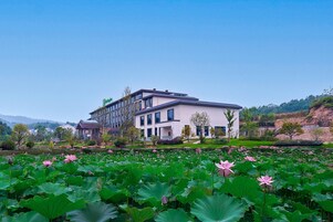 Un edificio moderno de dos pisos con techo plano y amplios ventanales, rodeado de un exuberante jardín con flores de loto.