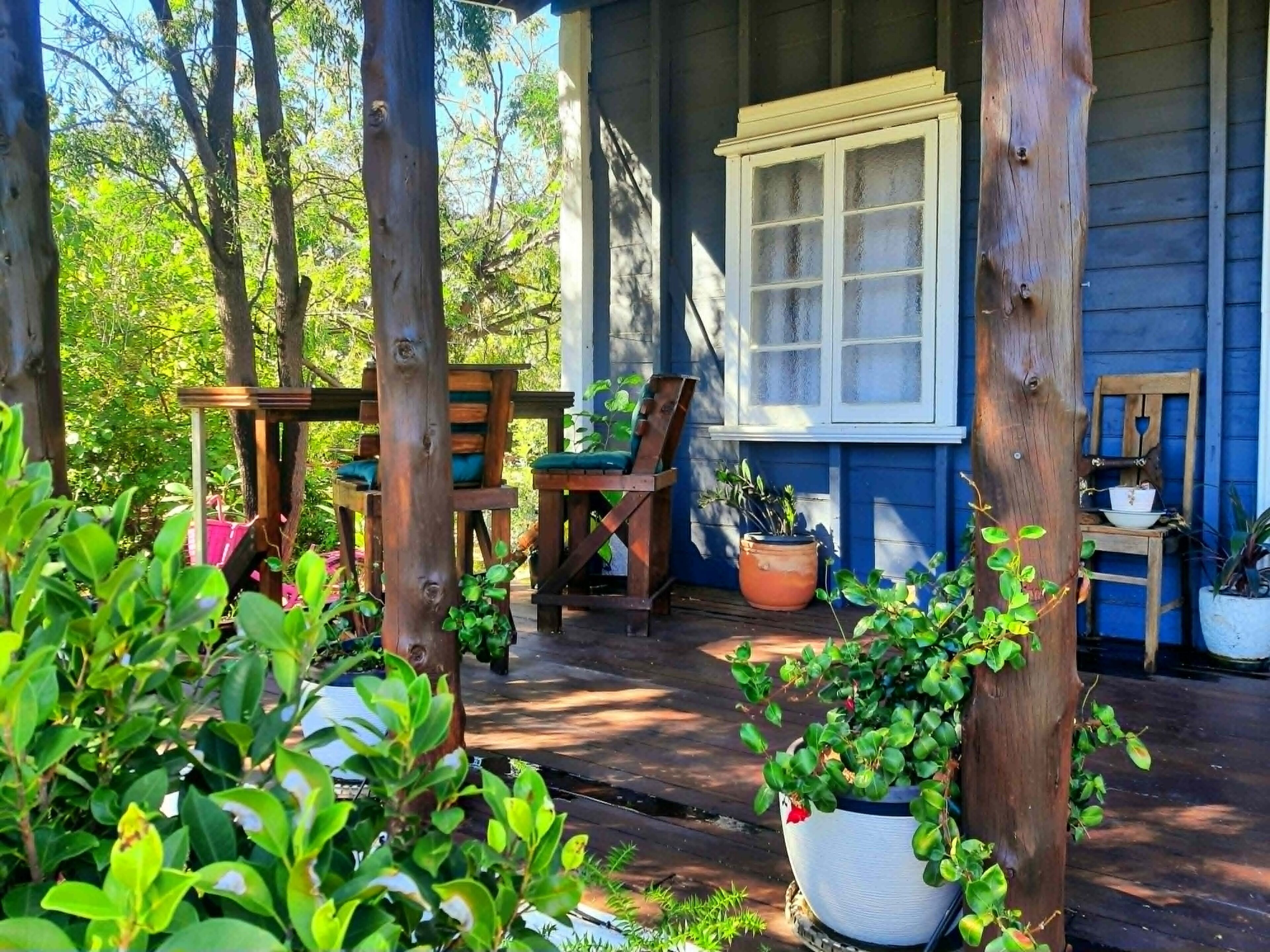 Terraza o patio