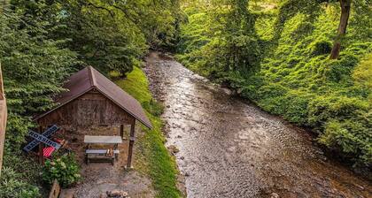 Experience tranquility at Alarka Creek Oasis with a serene creekside view.