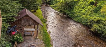 Experience tranquility at Alarka Creek Oasis with a serene creekside view.