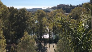 Un paisaje natural con árboles densos y una vista distante de una colina con edificios.