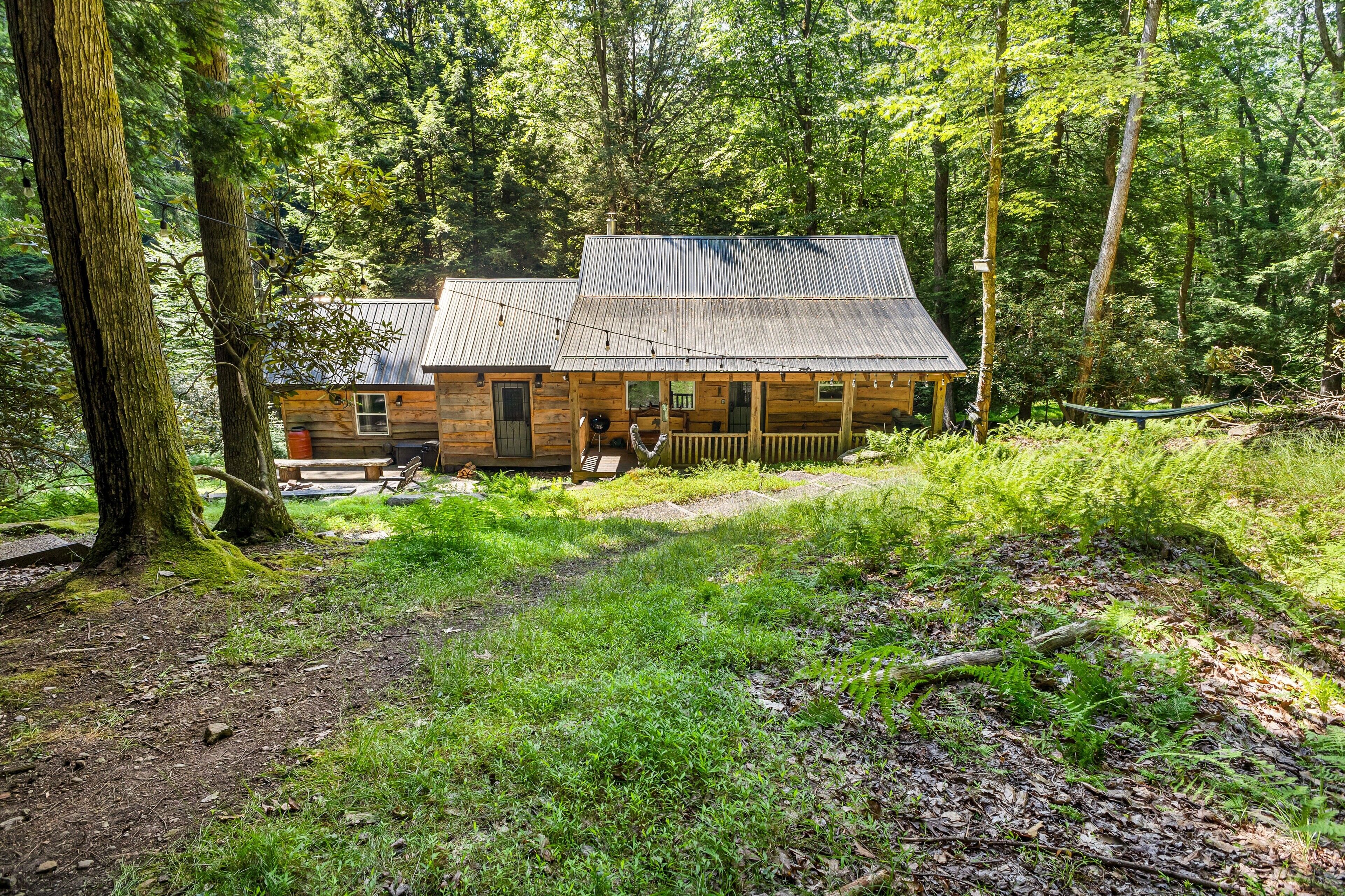 Cozy Bear Cabin in Cook Forest 2 miles from the Clarion River!