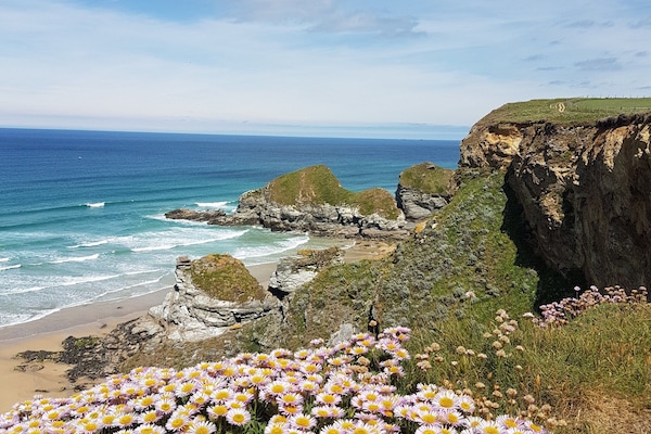 Vista desde la propiedad
