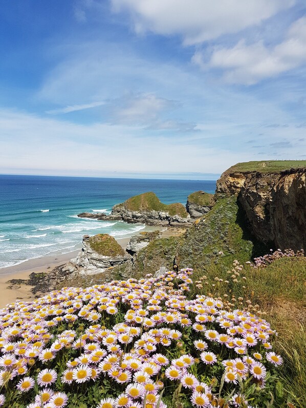 الإطلالة من المنشأة