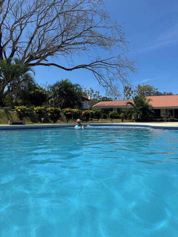 A clear swimming pool with a person in the water, surrounded by greenery and a building with a tiled roof.