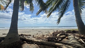 A beach with palm trees and a clear sky. - Costa Rican Private Villa | monkeys visit the trees! (Venado)