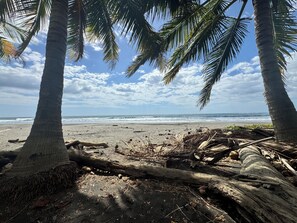 Ein Strand mit Palmen und blauem Himmel.