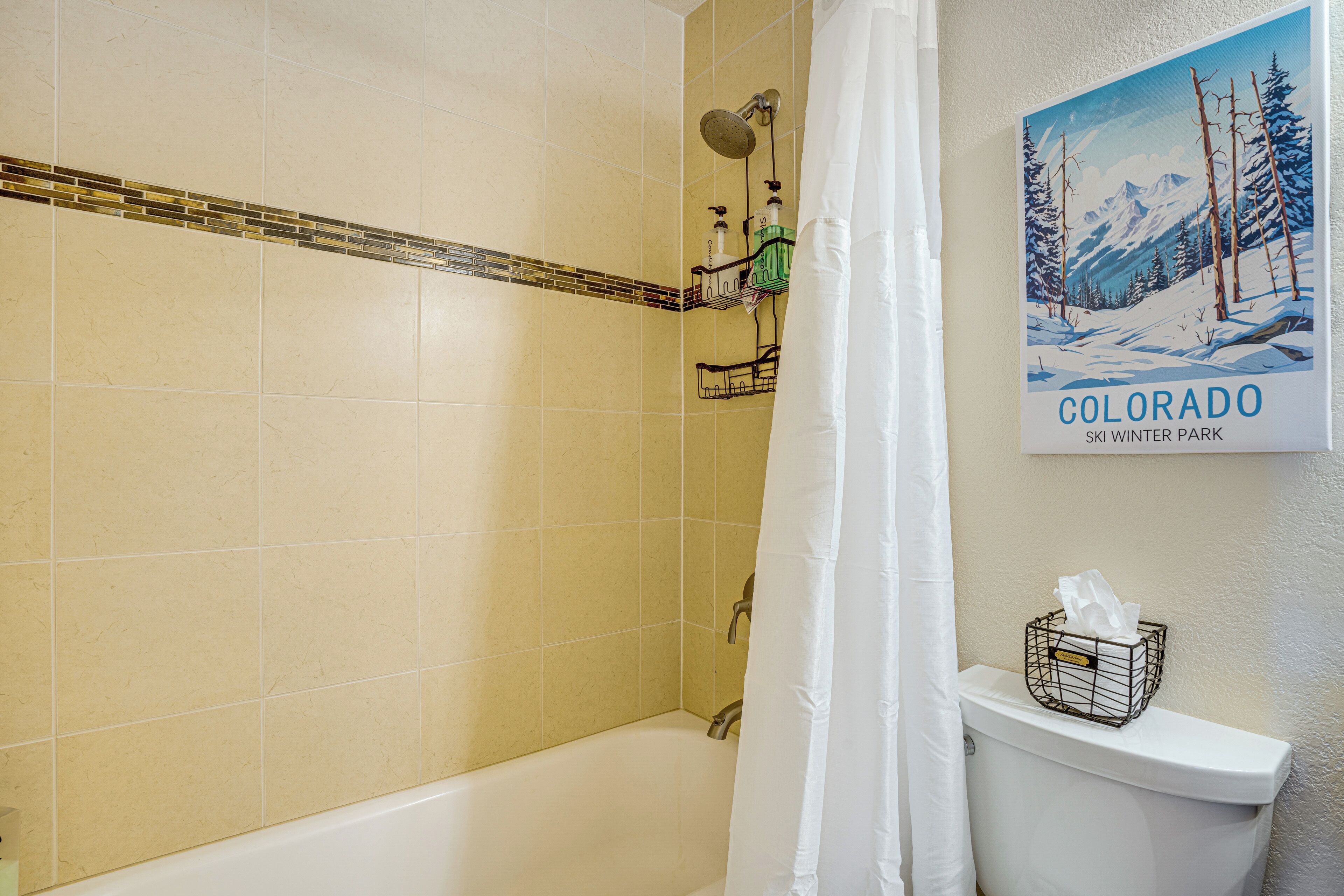 A bathroom with a bathtub, shower, and toilet. There is a picture of a snowy landscape on the wall.