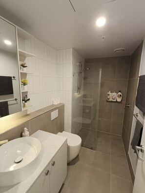 Hair dryer, towels, soap, shampoo
