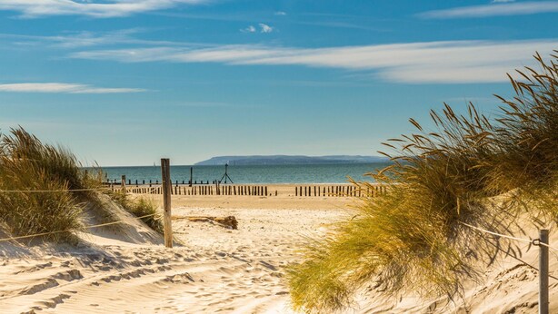 A sandy beach with a wooden fence and grassy dunes. - Beachfront House w Pool Steam (Chichester)