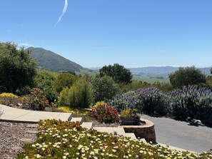 Property grounds - Serene Retreat In The Heart Of Slo 6 Bedroom Home by RedAwning (San Luis Obispo)