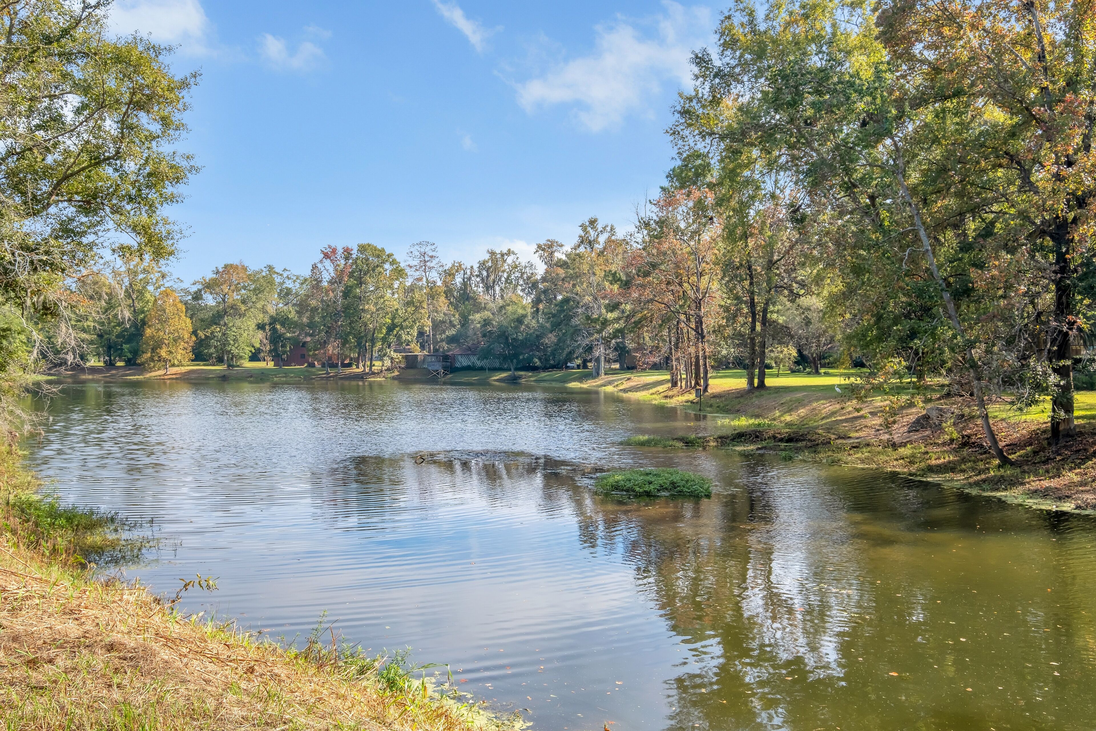 A serene lake surrounded by trees and grassy areas.