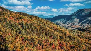 Miscellaneous - 🐕 Altitude Adjustment | 3BR Pet-Friendly Cabin + Hot Tub & Jacuzzi 🏔️ (Pigeon Forge)