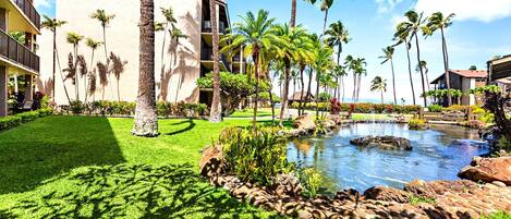 Overnatningsstedets område