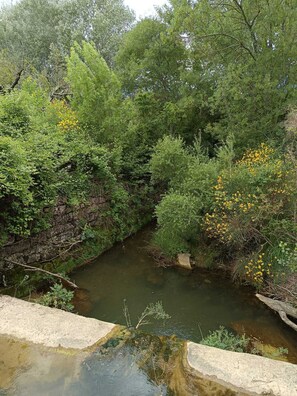 Área da propriedade