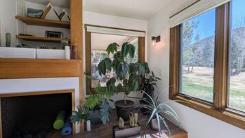 A room with a fireplace, potted plants, and a view of the outdoors.