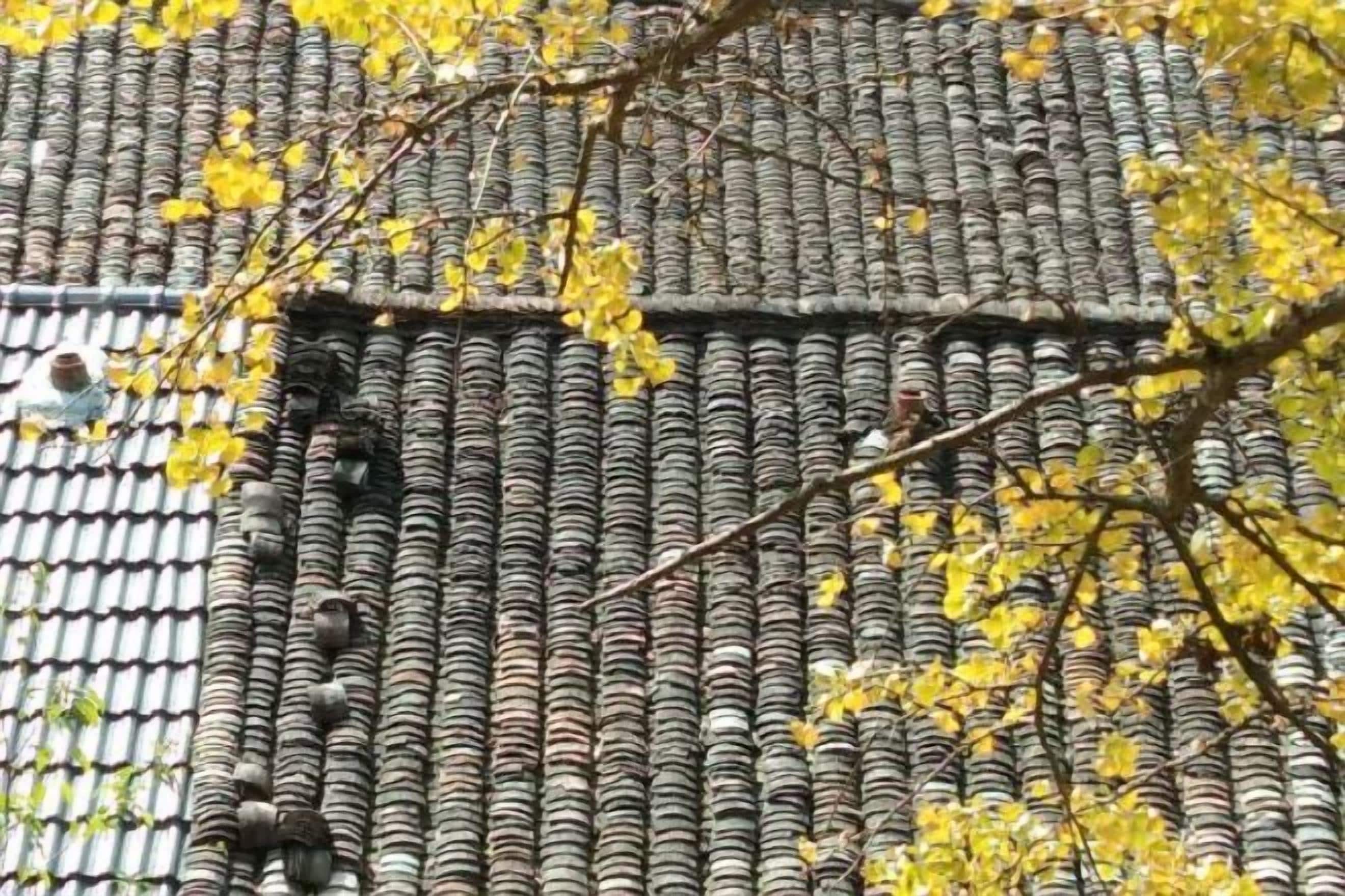 A tiled roof with a row of small, evenly spaced protrusions, possibly for water drainage or ventilation.