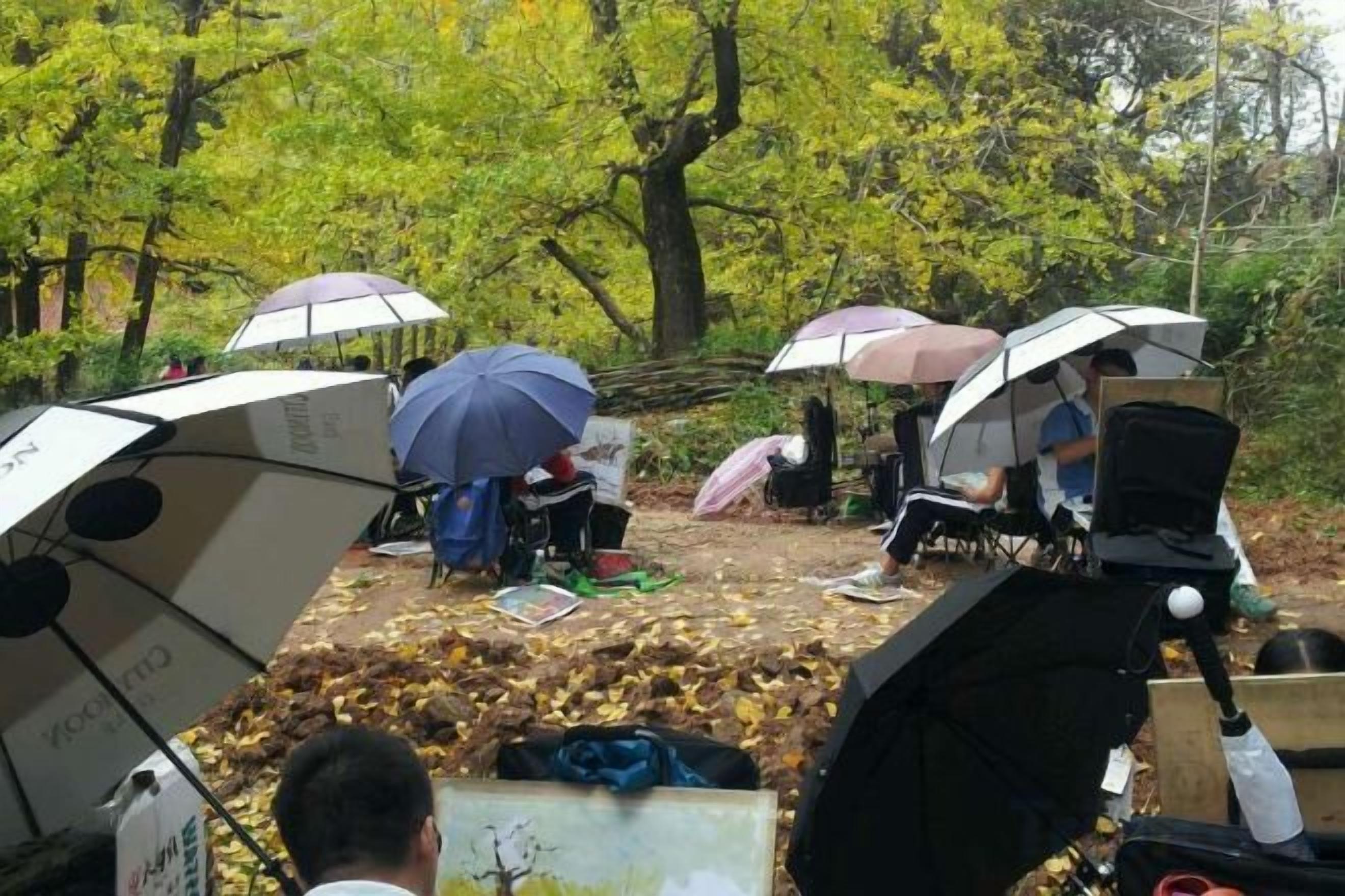 A group of people with umbrellas in a wooded area, some with equipment on the ground.