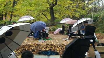 A group of people with umbrellas in a wooded area, some with equipment on the ground.