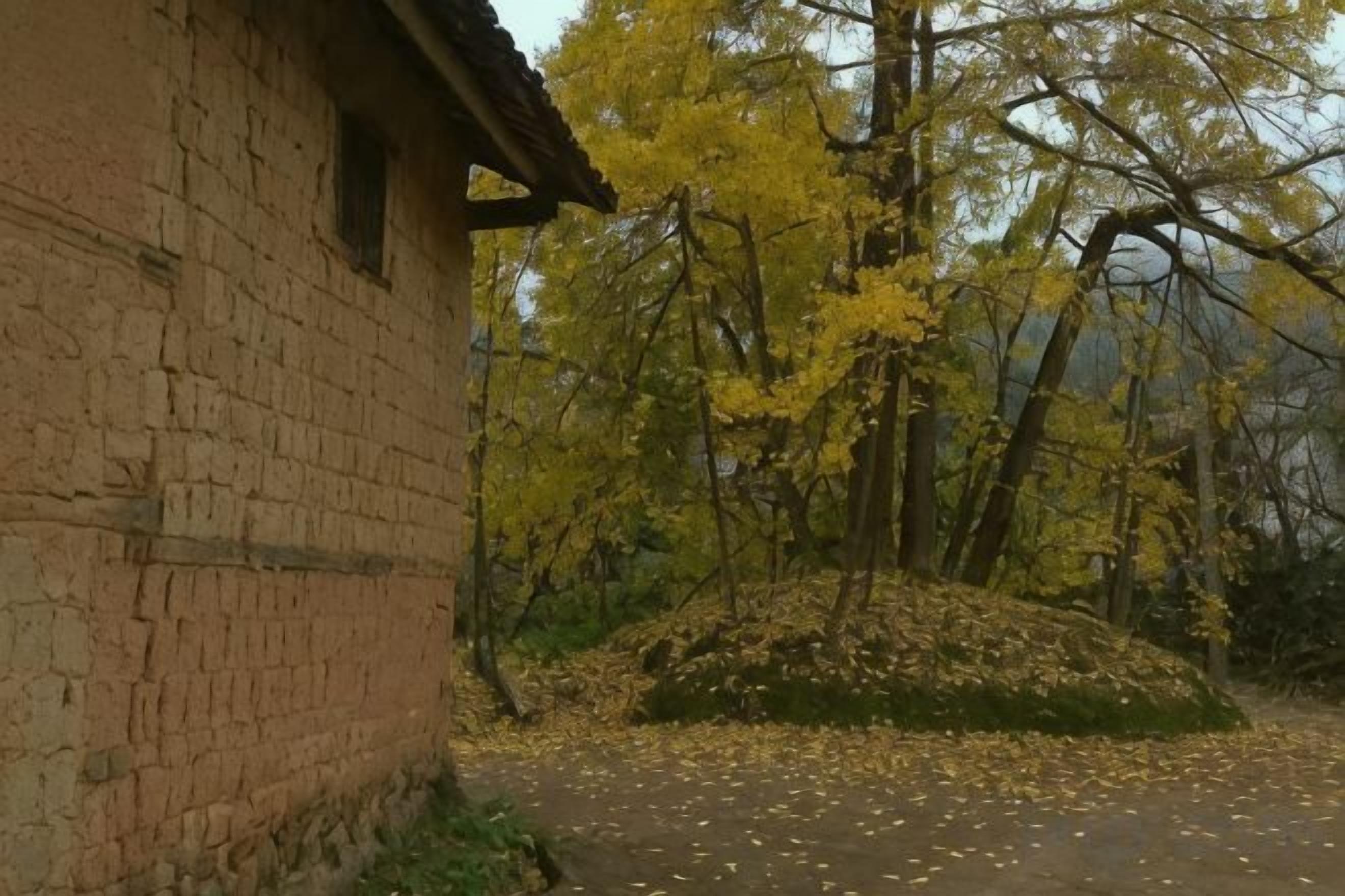 A brick building with a small window, surrounded by trees with yellow leaves, and a path covered with fallen leaves.