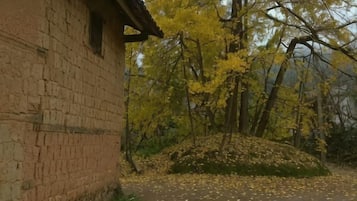 A brick building with a small window, surrounded by trees with yellow leaves, and a path covered with fallen leaves.