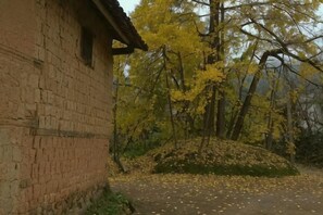 Un bâtiment en briques avec une petite fenêtre, entouré d’arbres aux feuilles jaunes, et un chemin recouvert de feuilles mortes.